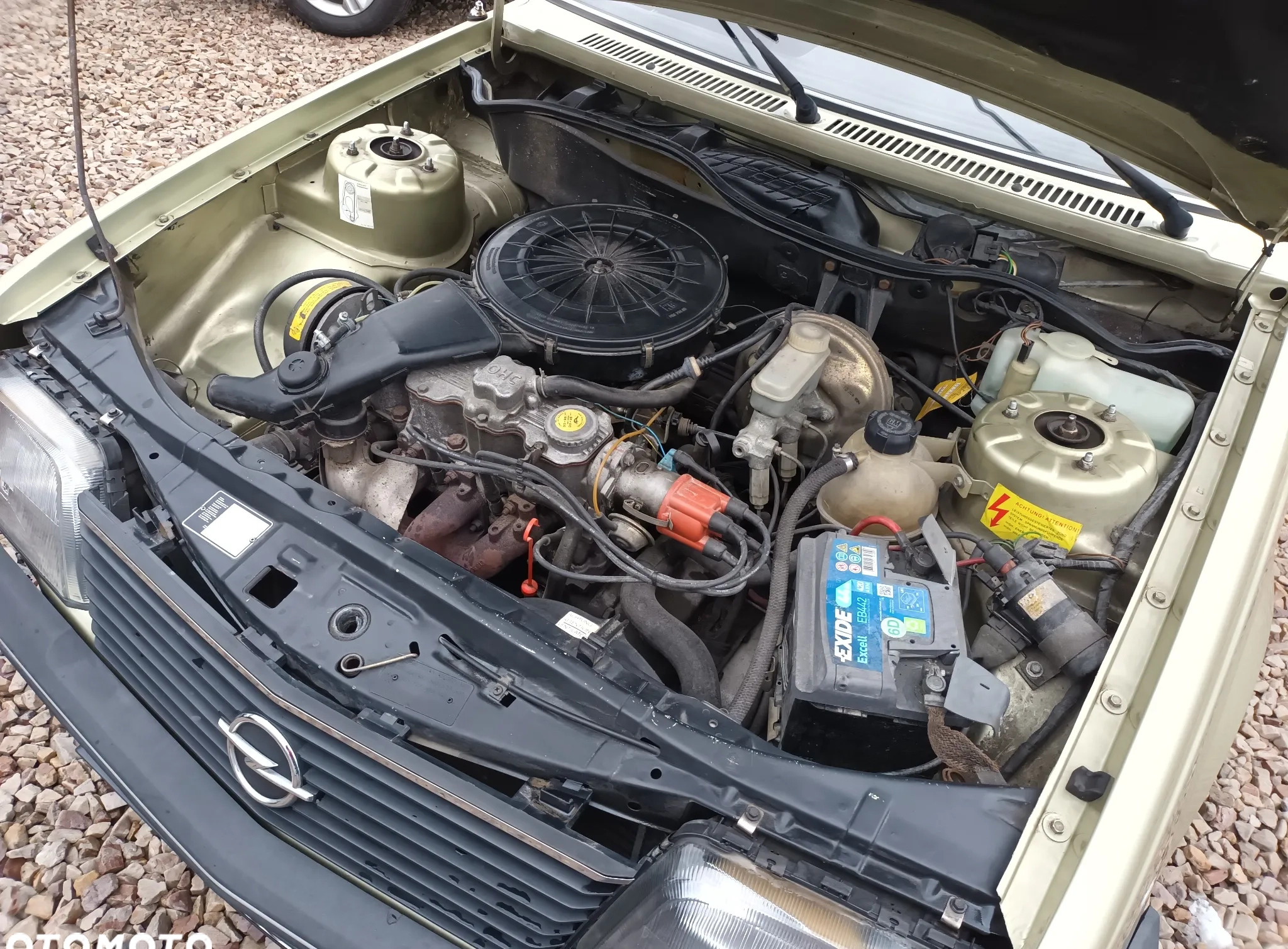Opel Ascona cena 13900 przebieg: 141700, rok produkcji 1984 z Końskie małe 631